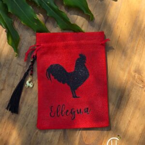 Eleggua Inspired Cowrie Shell Bag/Satchel 5x7