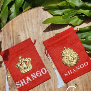 Shango Inspired Cowrie Bag/Satchel Set of (2) 5x7