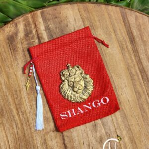 Shango Inspired King Cowrie Bag/Satchel 5x7